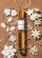 MyOilPerfume Compare Product to Michael Kors Women